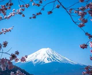 河口湖の桜と富士山